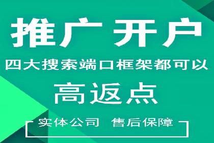 竞价广告实战：XX品牌如何通过竞价提升品牌影响力