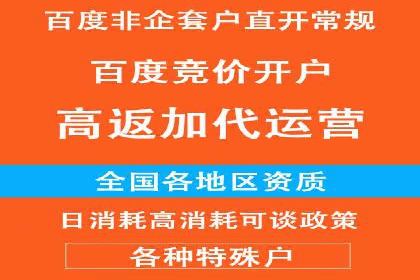 SEM托管成功案例：揭秘高效广告投放策略